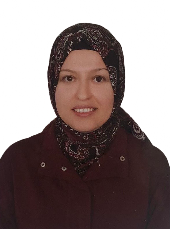 dilek hayta